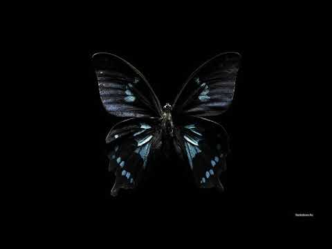 bilu x kobe - bla|z/m|e it