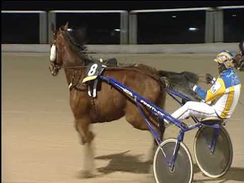 Trotto 08/02/2019 - 6ª corsa