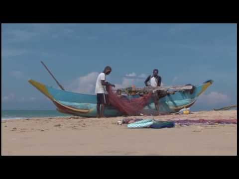 Voyage de groupe au Sri Lanka