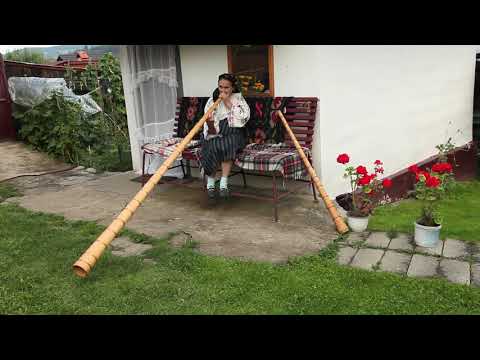 Calls from Vidra – Țara Moților – Romanian Collection