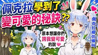 【兔田佩克拉】想讓大家誇獎我變可愛的說！ 聽說可以變可愛的方法是？？ (Hololive 兎田ぺこら/Usada Pekora ) #兎田ぺこら