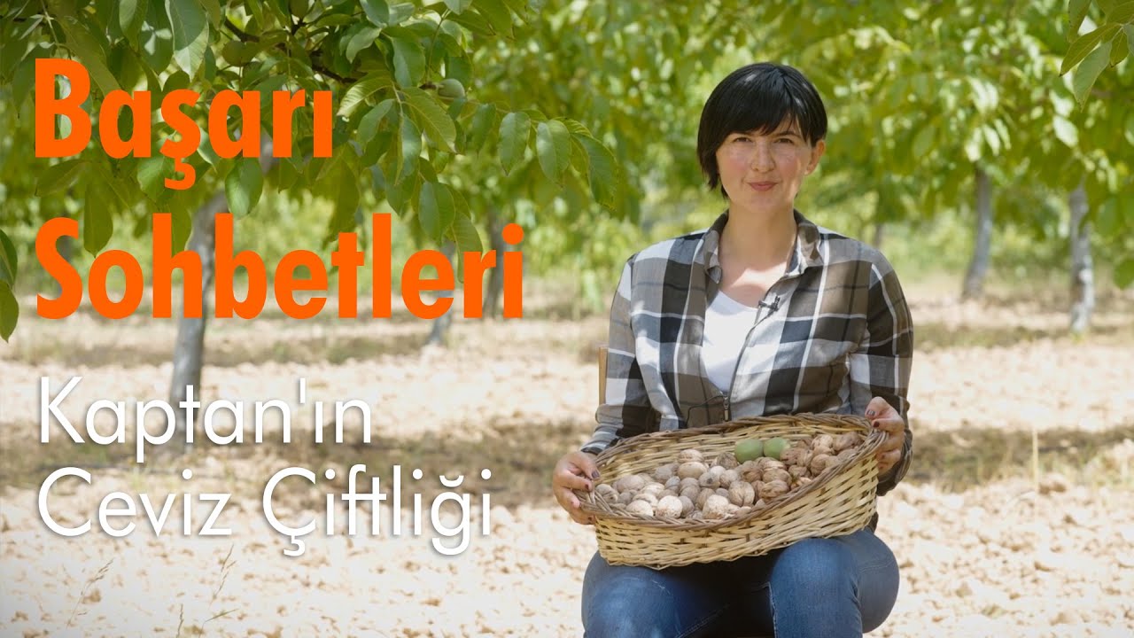 Kaptanın Ceviz Çiftliği