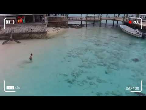 Un enfant survit miraculeusement à une attaque de requin
