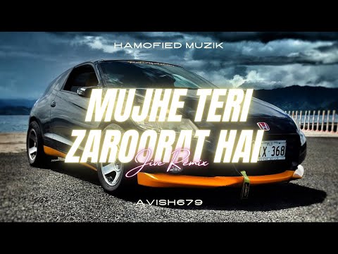 MUJHE TERI ZAROORAT HAI (HINDI JIVE REMIX) | TIKTOK TRENDING | AVISH679