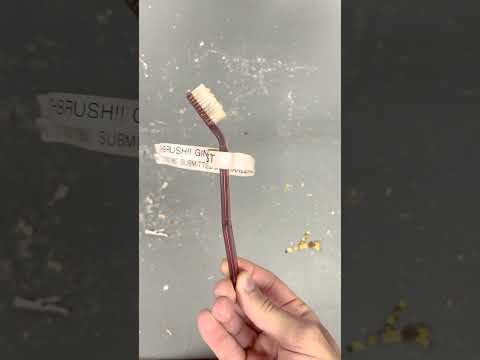 #AnimalKingdom celebrated its 25th Anniversary with a blast from the past! #DisneyWorld #Shorts