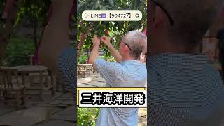 #日本株#株式投資#投資初心者#資産運用#日本市場#株の勉強#株式入門#投資生活#デイトレード#スイングトレード#長期投資#高配当株