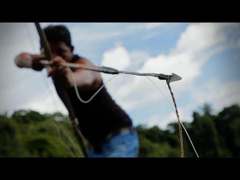 PÊCHE À L'ARC en AMAZONIE - Cyril Chauquet