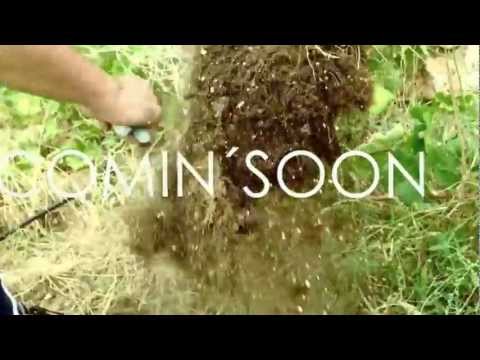 CB GARBAGE PROXIMAMENTE