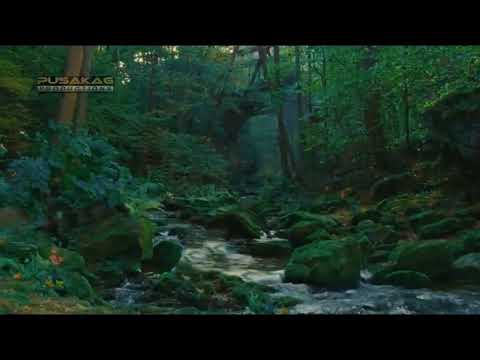 Sannie Hassan Mudin GOSPEL SONG (ALPHA DAN OMEGA OFFICIAL VIDEO)