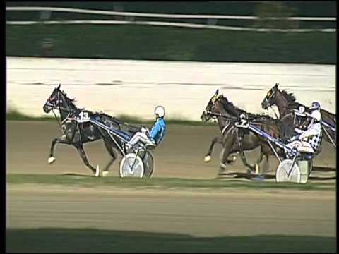 Trotto 08/11/2015 - 7° corsa