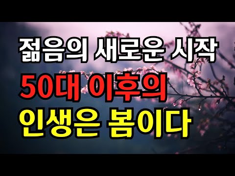 당신의 인생을 빛낼 소소한 일상 이야기