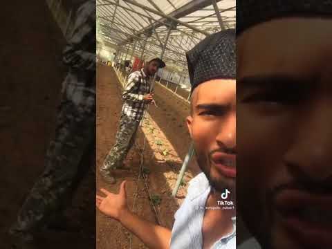 Τι είναι αυτό ζωή????? Δεν έχει βόλτα δεν έχει λεφτά 😤😂😂😂😂😂