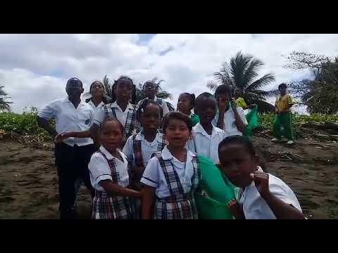 Saving Kids & Turtles in Jurado, Colombia