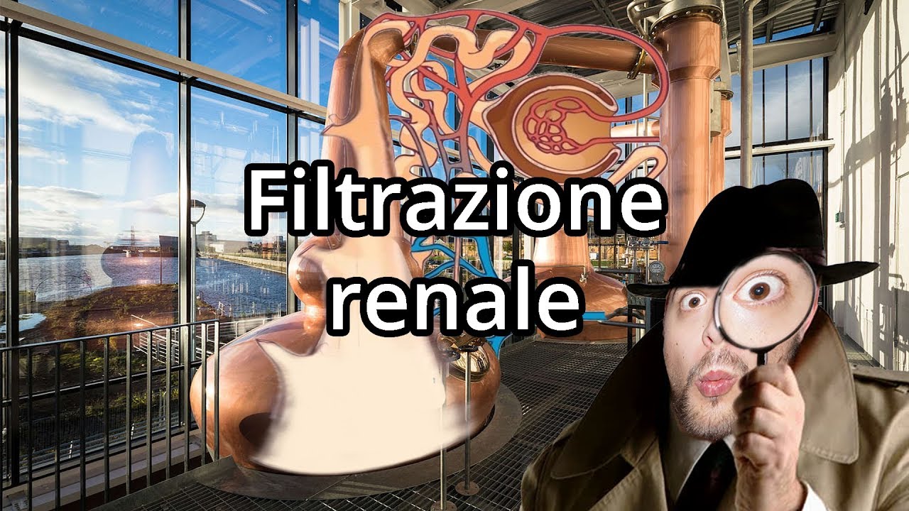 Come funzionano i RENI, facile facile - Spiegazione
