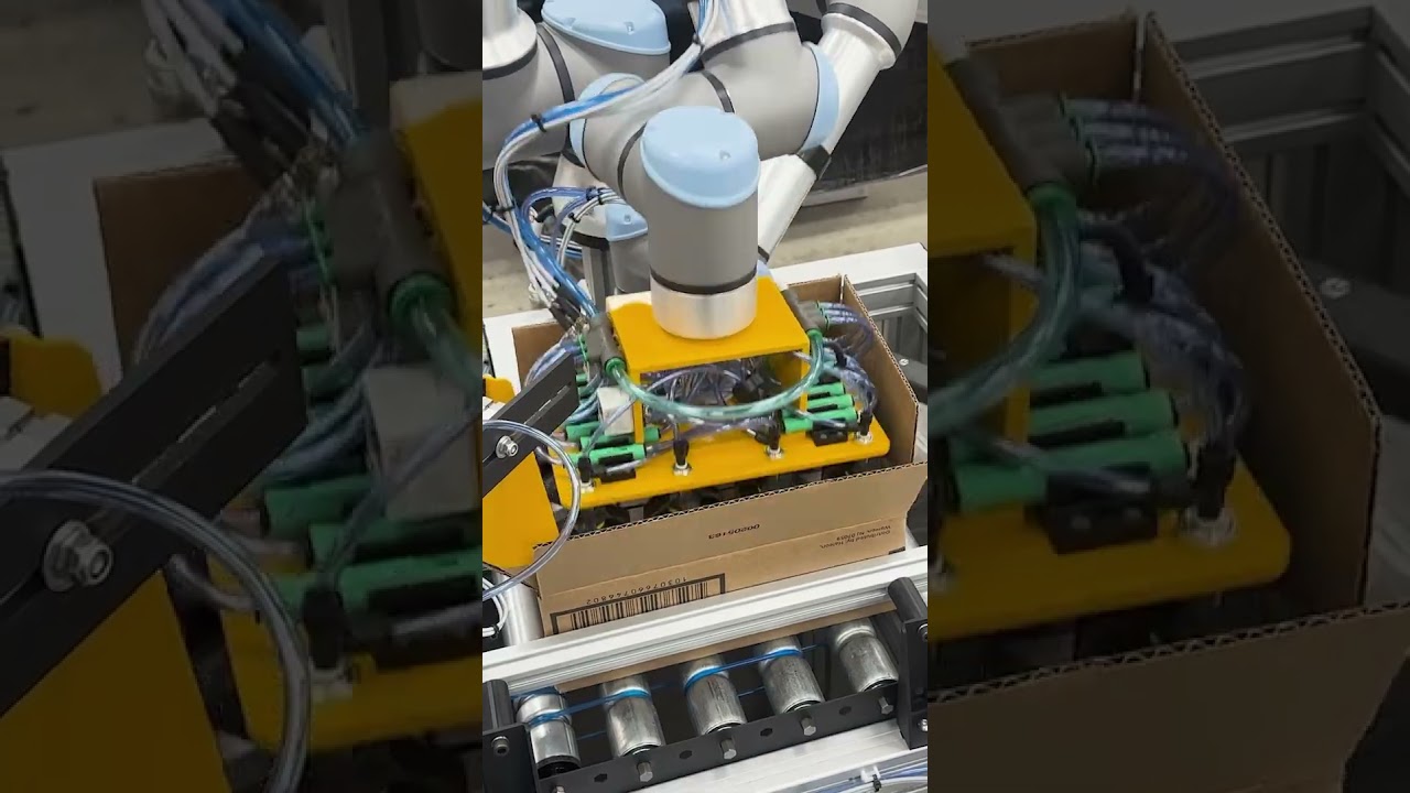 Forming & Packing Boxes with Cobots