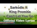 Sarkodie ft King Promise Cant Let You Go Video Lyrics