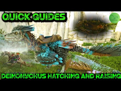 How To Steal, Hatch And Raise Deinonychus Eggs - Ark Quick Guides - 2020