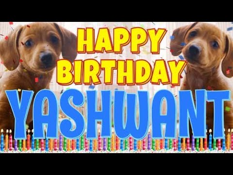 Happy Birthday Yashwant! ( Funny Talking Dogs ) What Is Free On My Birthday