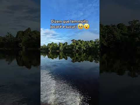 Rio Negro, Barcelos, Amazonas