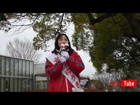 国際関係学科 2019年3月29日千葉県議会議員選挙 我孫子市選挙区 水野ゆうき（無所属）第一声