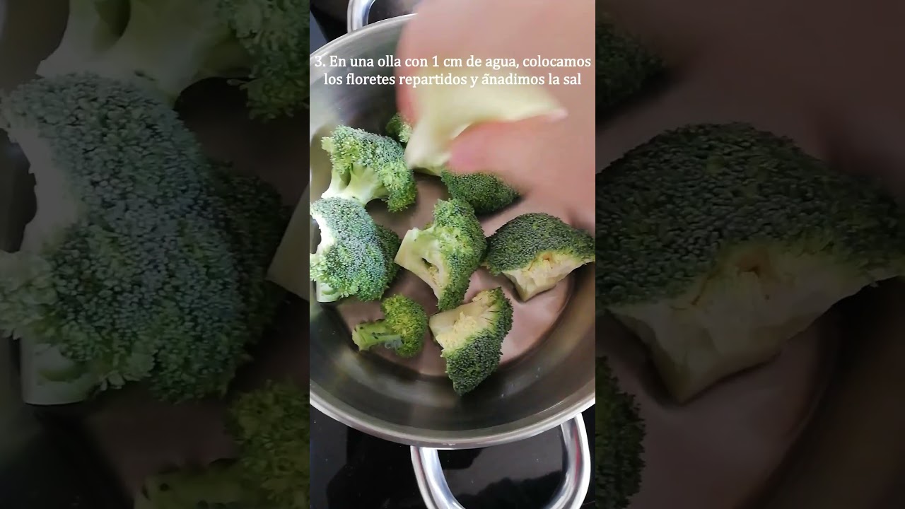 Claudia María Zurdo Seijas-12