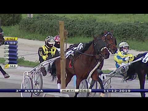 Aversa trotto 11 Dicembre 2019 - 3° Corsa