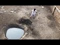PIG HUNTING PAKISTAN WILD BOAR HUNTING HOG HUNTING SOOR KA SHIKAR Hunting Pig Shikar Shorts