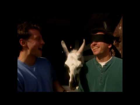 Zoboomafoo S01E18 Feeling Good; featuring porcupines, Falcons, sheep, and more!