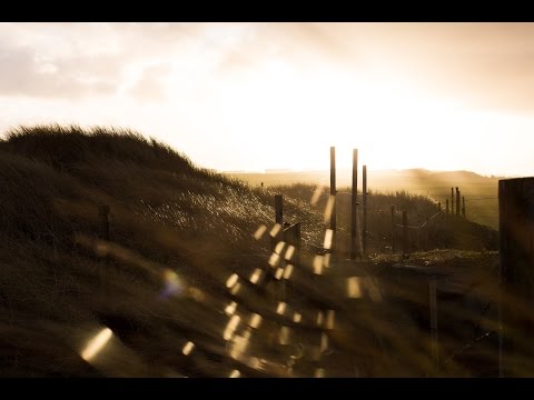 Det handler om den ene