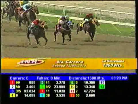 Resumen Sábado, 14 de Septiembre de 2013 - La Rinconada