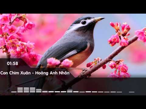 Con chim xuân - Hoàng Anh Nhân