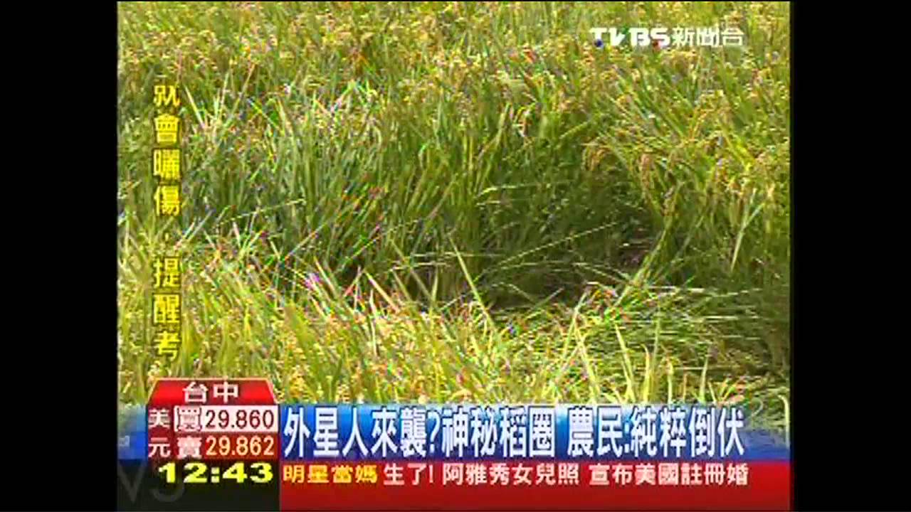 外星人來襲?神秘稻圈 農民:純粹倒伏