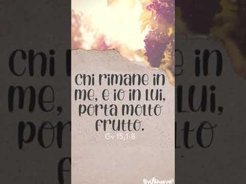 V Domenica di Pasqua