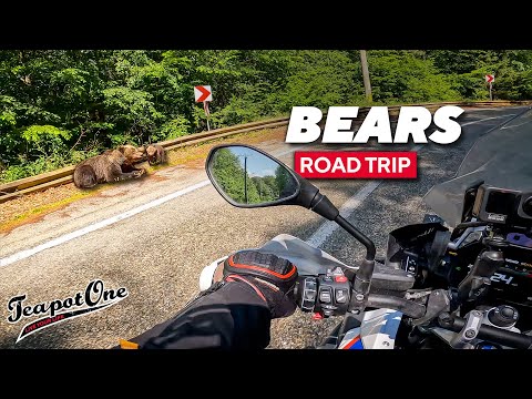 Transfagarasan Highway... Biker's Paradise