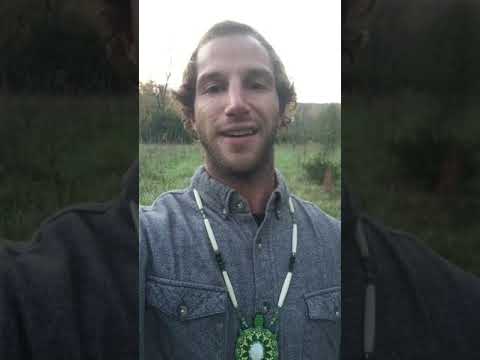 Shamanic Apprenticeship Bolivia