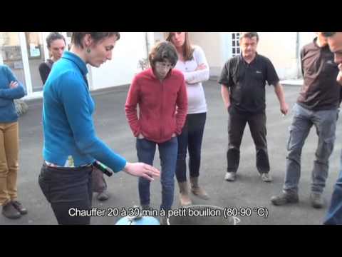 comment traiter tomates contre mildiou