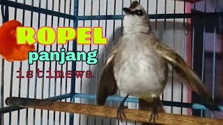 Download lagu ROPELAN TRUCUK TERBAIK 1 nafas panjang syahdu di pagi hari mp3