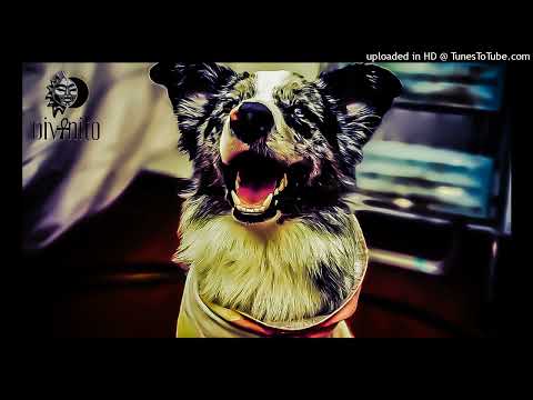 SNYL & Noidor feat. Bonnie Spacey - Wolf (Original Mix)