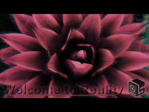 Charbon de Bois - Welcome to Reality