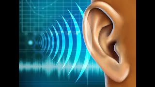 Physiology | Hearing |  lecture 1 | Physics & ear structure | March 17.2018   | Dr.Nagi | Arabic