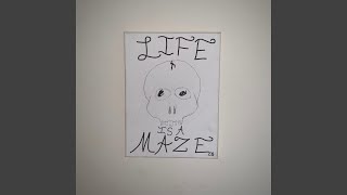 Lifes a Maze Music Video