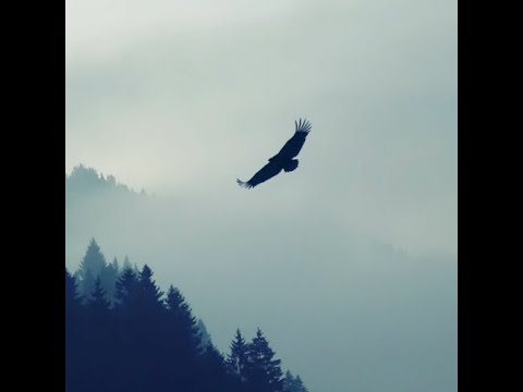 Geneburn - Wings (2005 raw edit)  Hideout song