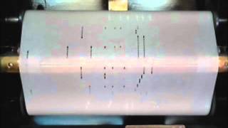 Artcraft Music Roll - Rialto Ripples Rag - Gershwin