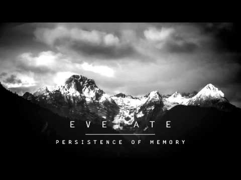 Evelate - Persistence of Memory