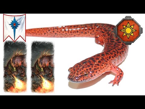 Double Ancient Salamander vs Buffed High Elves! Total War Warhammer 3