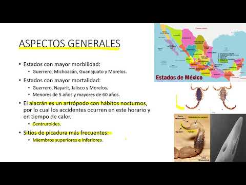 Intoxicación por picadura de alacrán