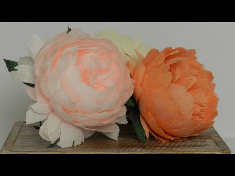 Crepe Paper Peony/Peonies