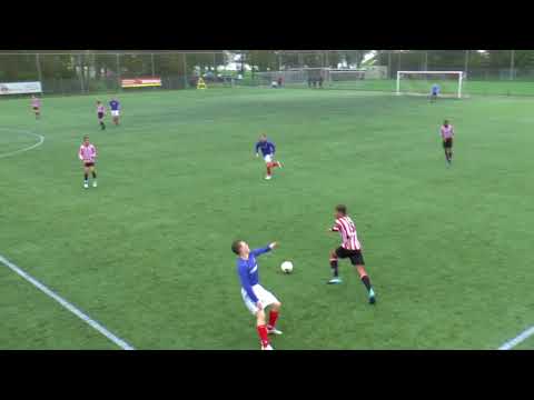 HOLLANDIA.O17-2  -  BFC.O17-1