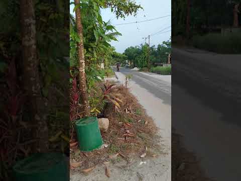 jojo naik sepeda bersama papa