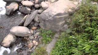 preview picture of video 'Salto de puente, Baños de Agua Santa, ECU'